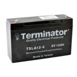 Battery 6V Terminator / Lucky Sky