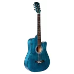Acostic Guitar Tansen Tmg941Cp/41C