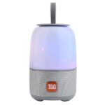 T&G TG-608 LED FLASHING LIGHT SPEAKER