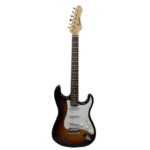 Guitar 22Frrts Electric Tansen Hs-362